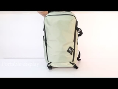 ¿Cuál es el mejor compañero de viaje?